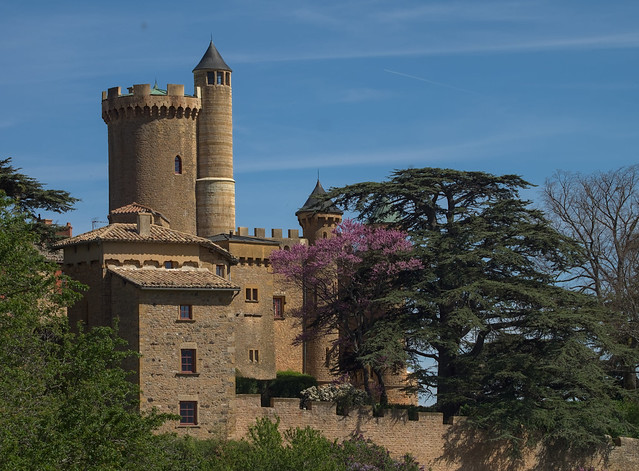 Chateau de Montmelas