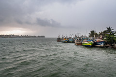 Negombo Fishing Boats