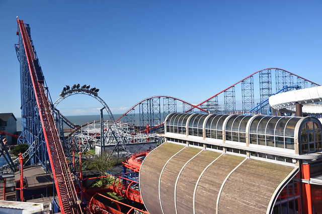 Roller Coaster View