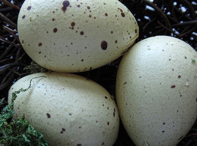 Three Small Eggs