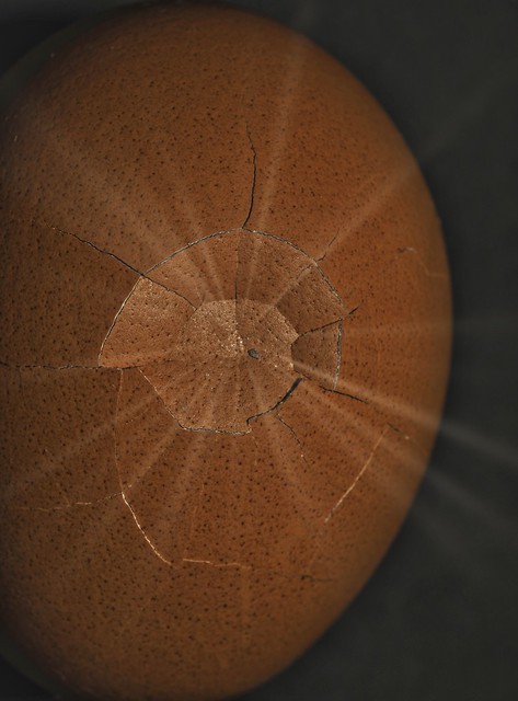 Death Star Crater - Macro Mondays - Egg