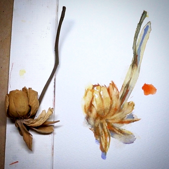 Day 3171. The process of daily rose painting for today.