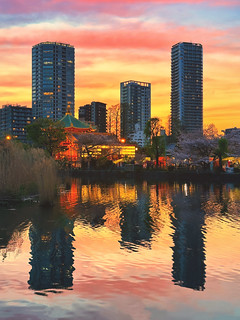 Colorful Sunset Reflection at Shinobazu Pond, Tokyo