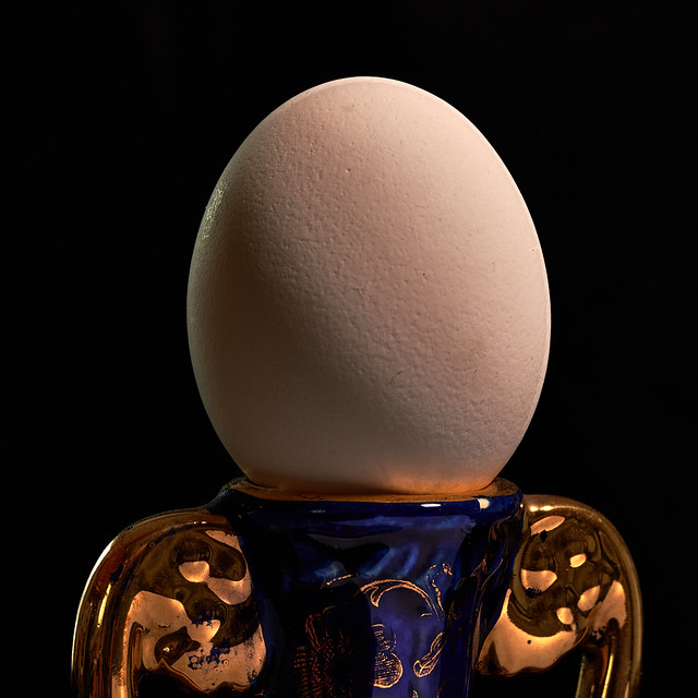 Rembrandt's Egg