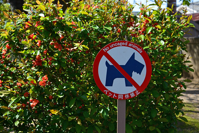 No Uncaged Animals / Sign
