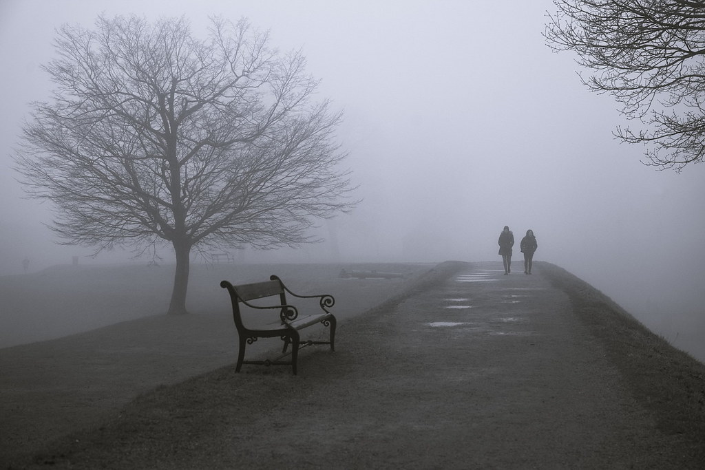 Two people approaching from the mist