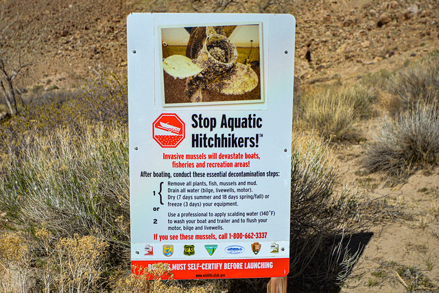 Stop aquatic hitchhikers