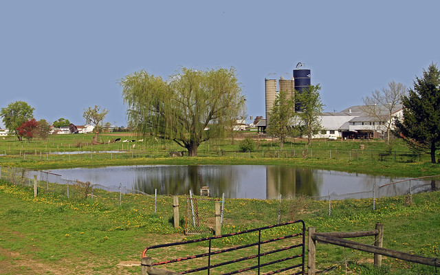 Farm  -  Lancaster Co. Pa.