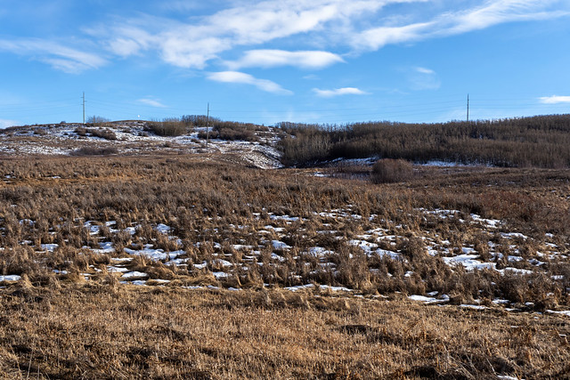 Nose Hill Mid March Melt