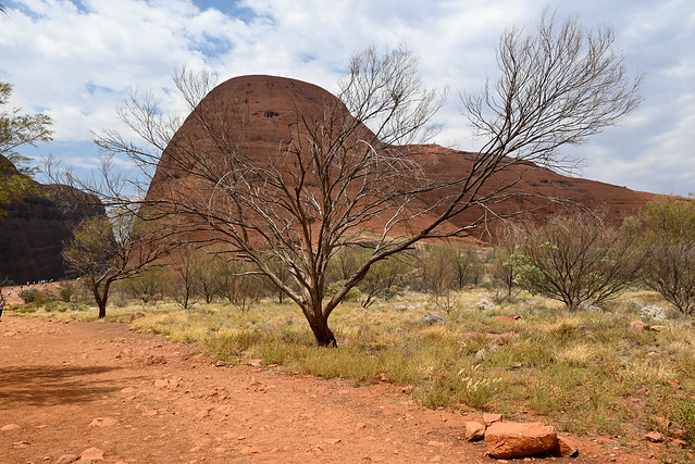 Uluru National Park