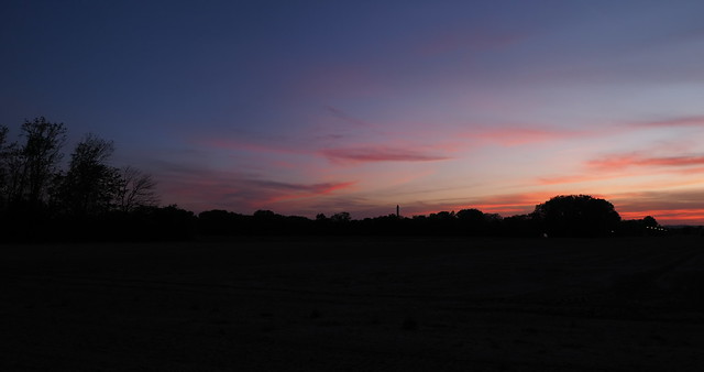 Lobau - Sonnenuntergang