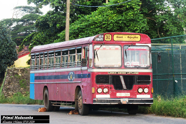 NB-3664 Hakmana Depot Ashok Leyland - Viking 210 Turbo B+ type Bus at Matara in 07.01.2024