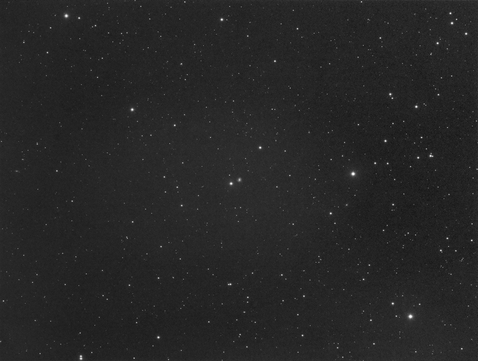 NGC 4619 - Luminance