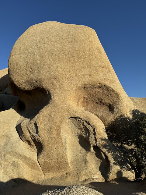 Skull Rock in Joshua Tree NP (2)
