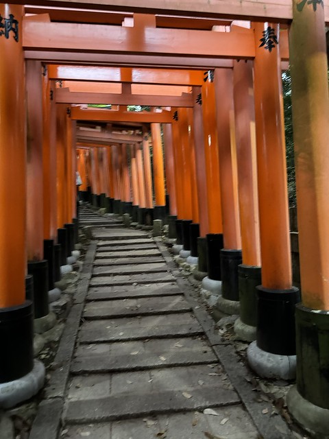 Torii beim Fushimi-Inari-Taisha-Schrein