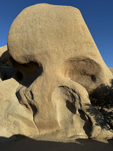 Skull Rock in Joshua Tree NP (1)