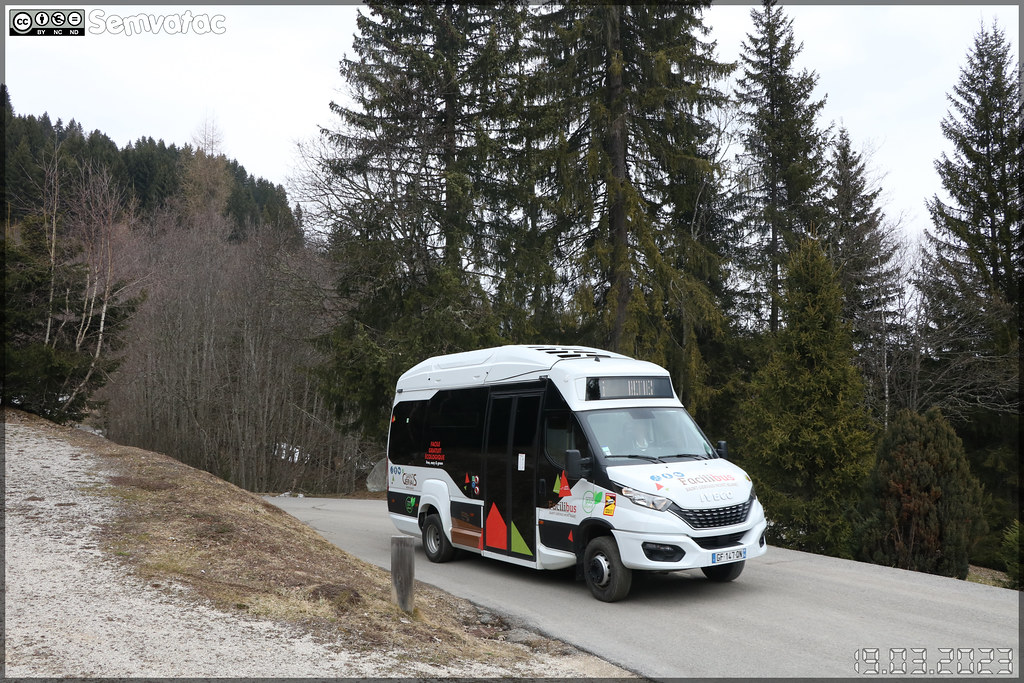 Trouillet D-City (Iveco Daily) – Autocars Borini / Facilibus