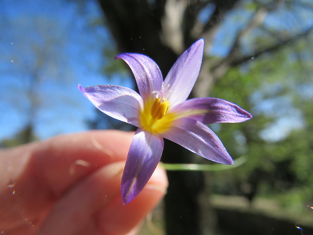 The joy of Spring