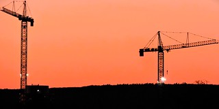 Cranes at sunset
