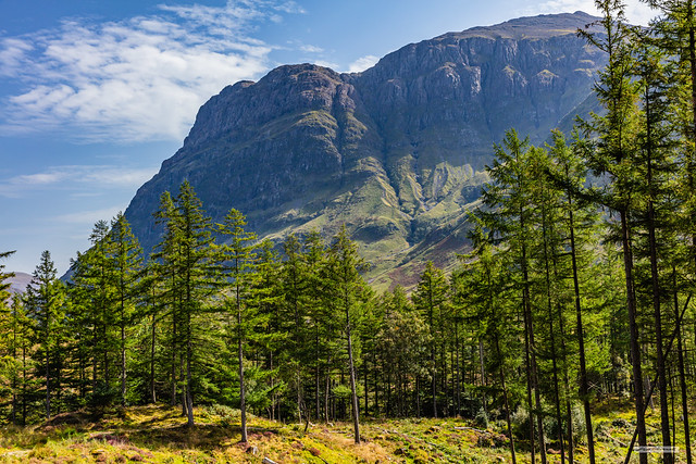 The 3,000 foot Aonach Dubh rock-face from a Woodland Walk in Glencoe, Argyll, Scotland.