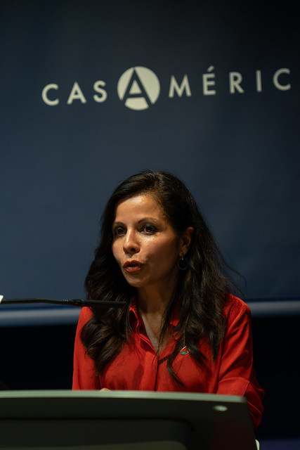 Érika Rodríguez Pinzón, directora de la Fundación Carolina