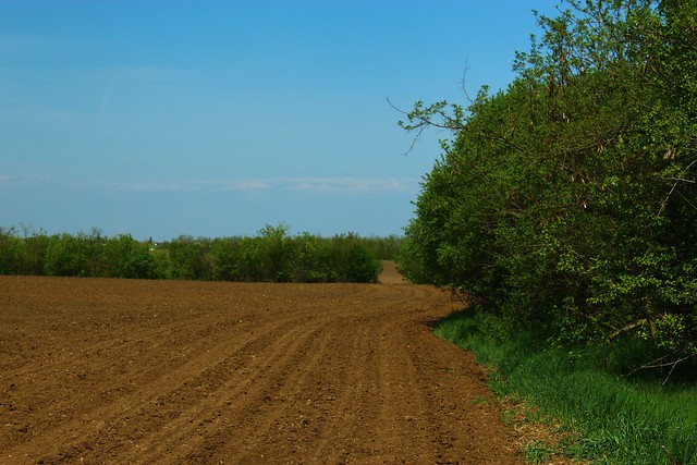 Plowed field next to Brânzeasca forest