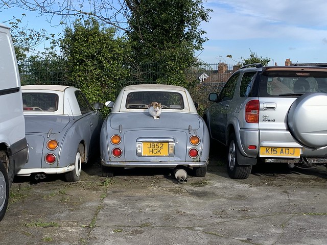 Nissan Figaro with Cat in the sun. Nottingham, Wednesday 17th April 2024.