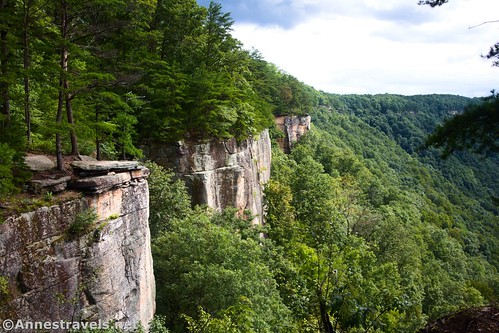 Cliffs of the Endless Wall from Diamond Point, New River Gorge National Park, West Virginia