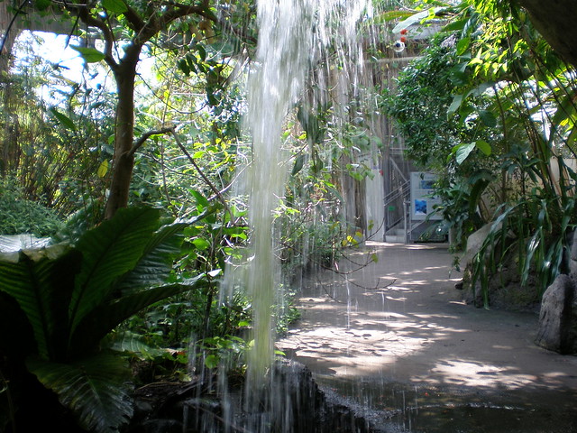 Behind Waterfall in Conservatory at Cleveland Botanical Garden