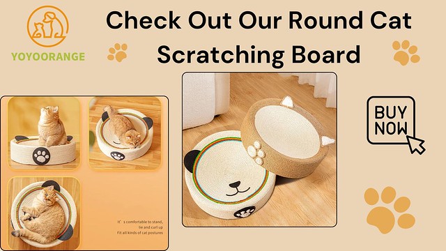 Check Out Our Round Cat Scratching Board | YOYOORANGE