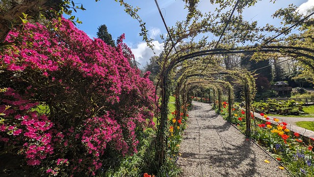 Penrhyn Castle gardens