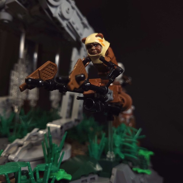 Ewok getting the hang of his new speederbike.
