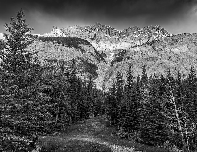 6579A Leading to the Mountain_BW