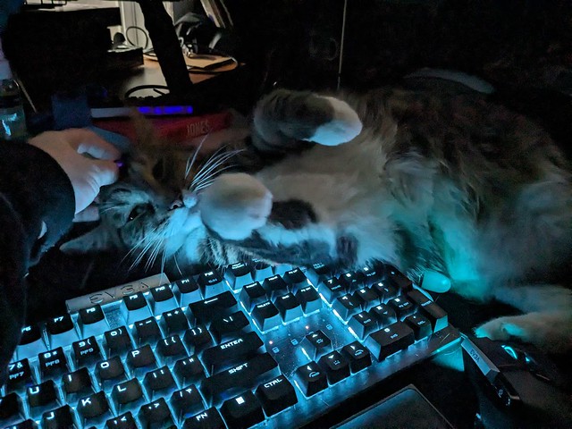 Spike on my keyboard