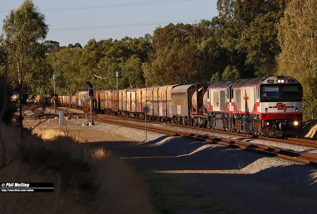 8 February 2024 CSR012 CSR008 on 2MP9 heading to SCT Forrestfield West Parade South Guildford