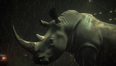 Série 64: Un rhino en ville (4)