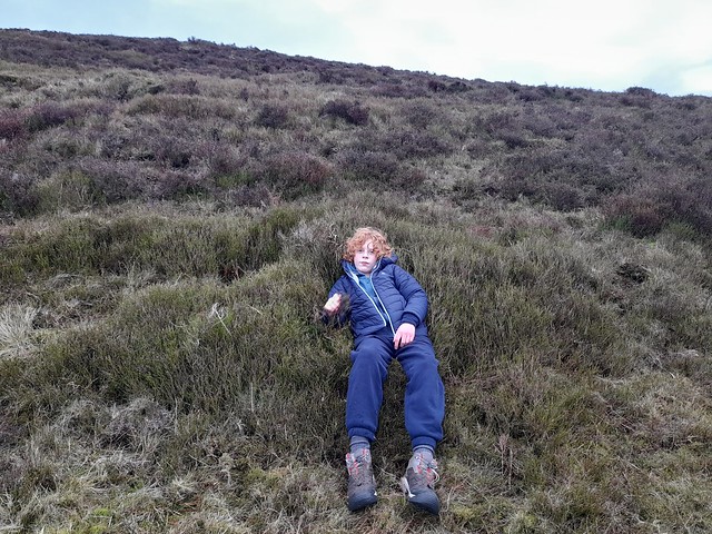 Resting in the heather