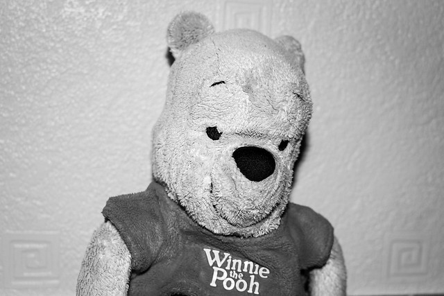 Bear With Me - 29/100x