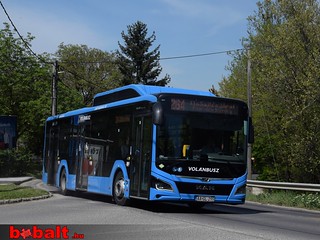 vb_aagl299_02