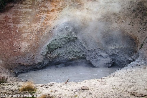The Mud Volcano isn't very large - but it gave the entire area its name!  Yellowstone National Park, Wyoming