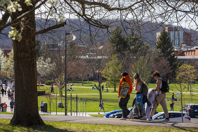 Blossoms on trees mark the Spring season at Binghamton University,