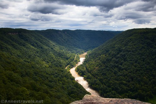 Views up New River Gorge from Diamond Point along the Endless Wall Trail, New River Gorge National Park, West Virginia