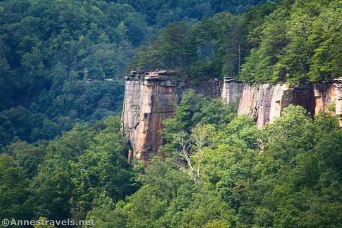 Closeup of Diamond Point from the third Climber's Trail along the Endless Wall Trail, New River Gorge National Park, West Virginia