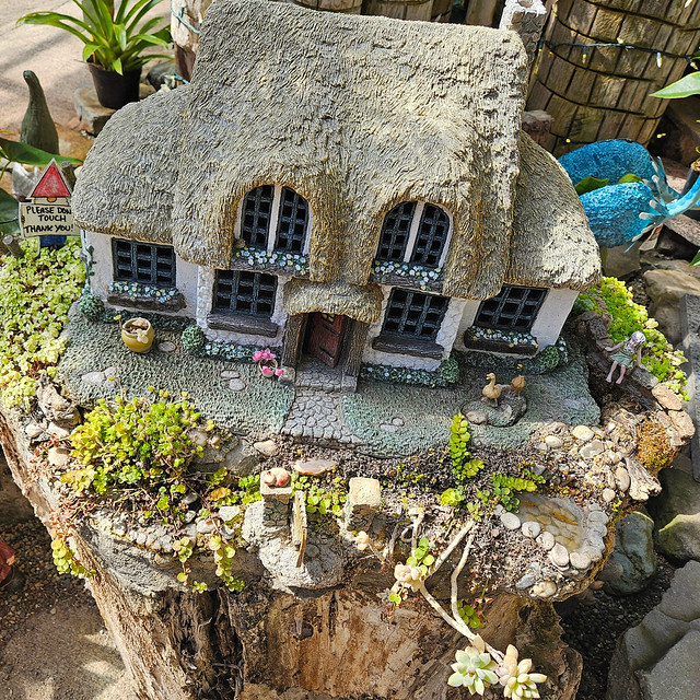 #fairyhouse #fairygarden #stump #cobblestone #thatchedroof #succulent