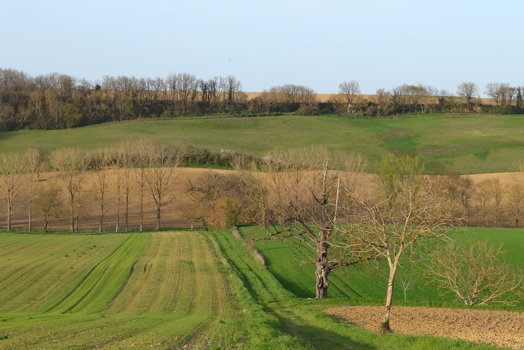 Le Tarn-et-Garonne commence derrière cette colline