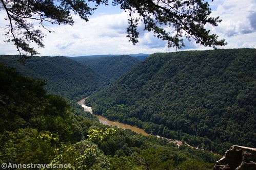 Views from the third Climber's Trail along the Endless Wall Trail, New River Gorge National Park, West Virginia