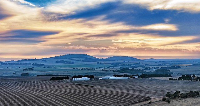 Farming in Seven-Hills Country-DJI_20240405083030_0007_Dx