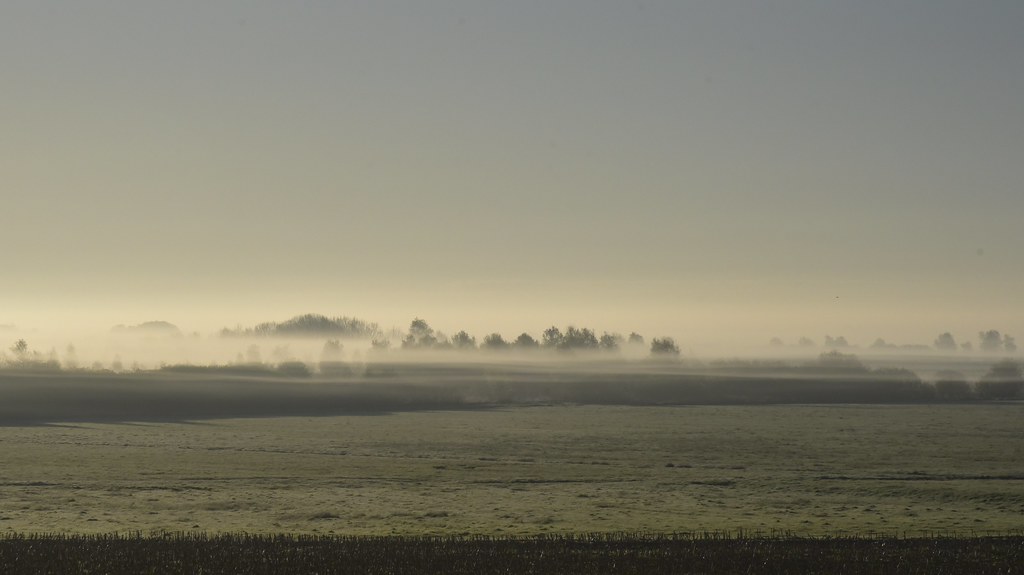 Blick auf den Morgennebel im Nordmoor; Bergenhusen, Stapelholm (5)