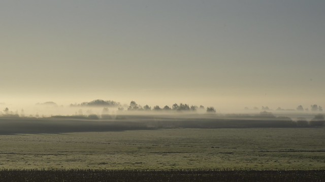 Blick auf den Morgennebel im Nordmoor; Bergenhusen, Stapelholm (5)