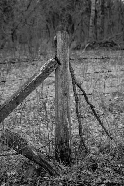 Page wire fence and post